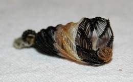 L�sz�r harang med�l